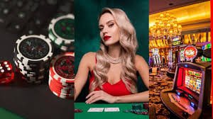 vipvip6 Bingo